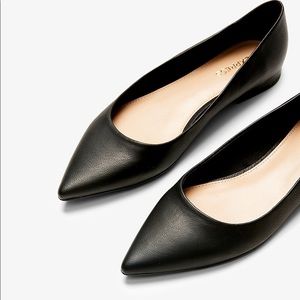 Black flats point toe NWT